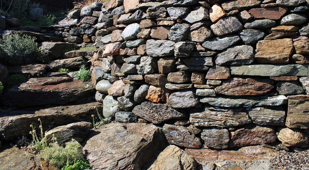 Dry Stone Wall, Alexandra