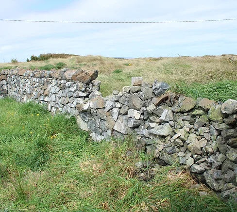 Dunite wall damaged Oki Street