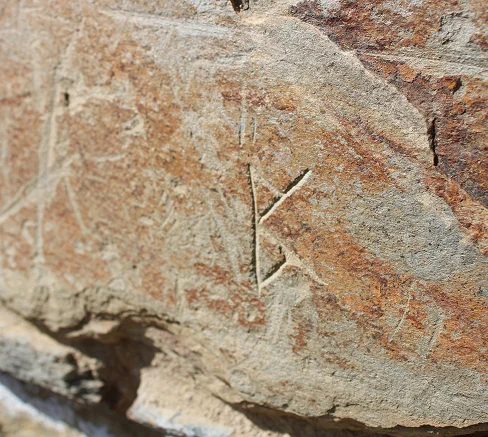 Stone engraving, Monte Christo Winery, Clyde
