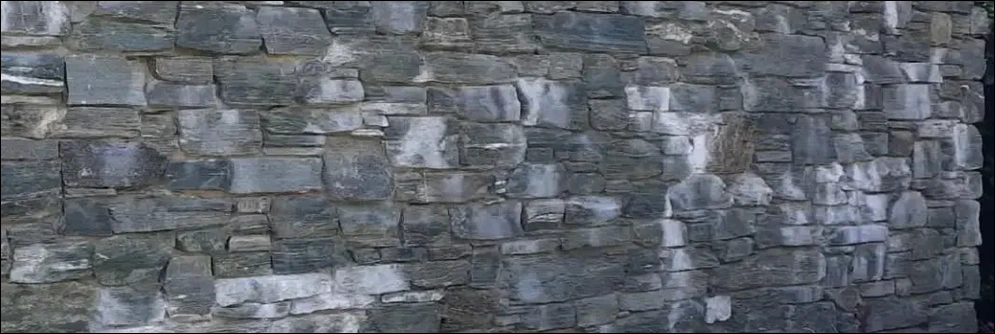 Wall demonstrating efflorescence